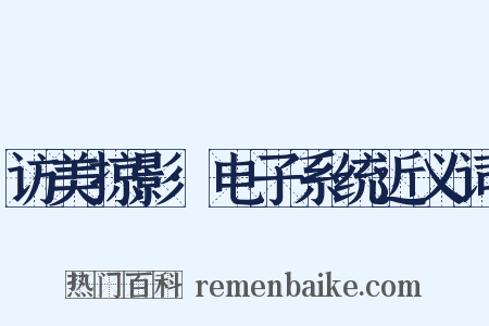 访美掠影·电子系统近义词是什么意思的图片